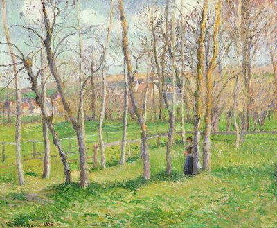 Meadow at Bazincourt, 1885 by Camille Jacob Pissarro